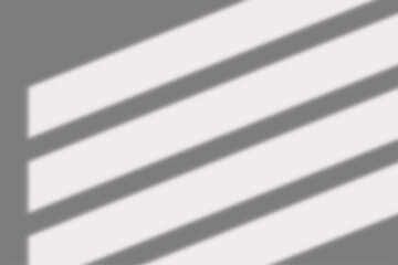 Obraz premium Shadow Window Overlay