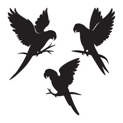 Parrot bird icon silhouettes vector