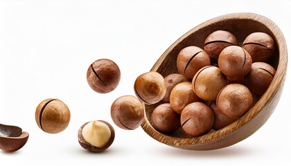 Falling Macadamia Nuts isolate on White background