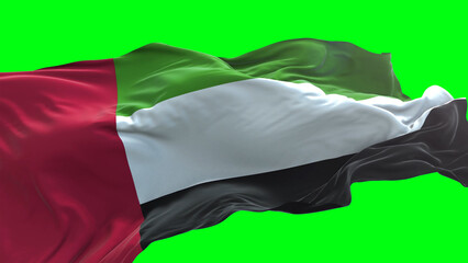 United Arab Emirates flag - 3D realistic waving flag on green screen background for chroma key