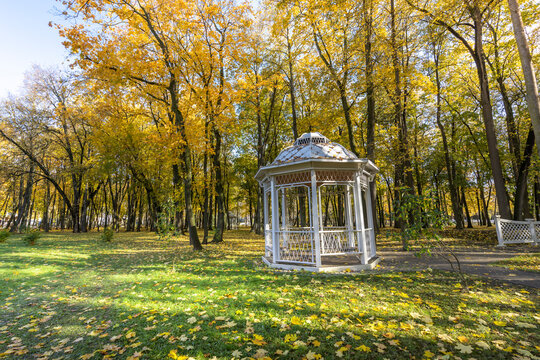 A white gazebo sits in a park surrounded by trees