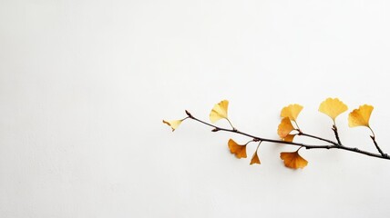 Obraz premium Watercolor hand drawn of autumn trees,red maple tree on white background,hand drawn watercolor vector illustration,Autumn forest path,Ginkgo biloba foliage in fall forest.