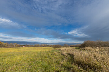 Obraz premium A field of grass with a cloudy sky in the background