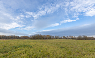 A large field of grass with a clear blue sky above