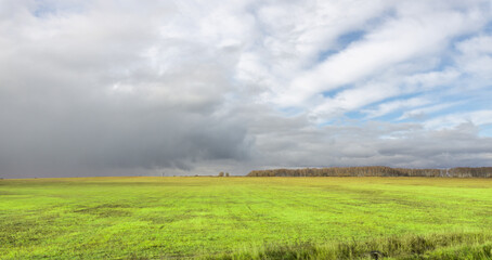 A field of grass with a cloudy sky in the background