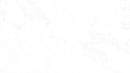 white wall background.