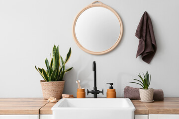 Sink, houseplants and bath accessories near white wall in bathroom