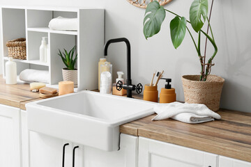 Houseplants, shelf and bath accessories near light wall in bathroom