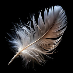 Obraz premium A delicate feather resting on a white background,