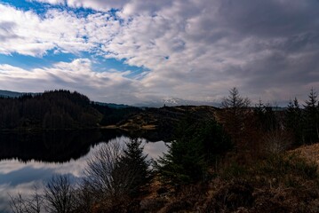Serene lake and forest landscape