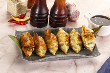 Fried Japanese stuffed dumplings - Gyoza