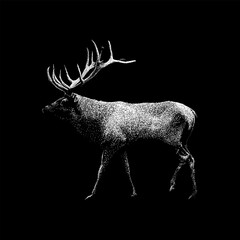 Elk hand drawing vector isolated on black background.