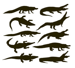 Set silhouettes of large crocodiles.
