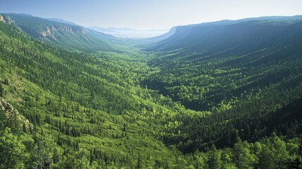 Obraz premium Majestic Forested Mountain Range Revealing the Beauty of Nature | Ultra-Detailed Landscape Photography