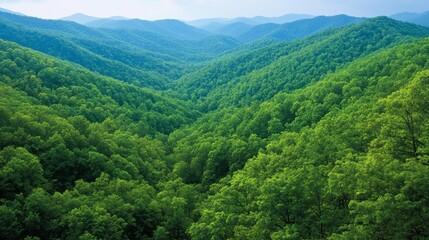 Fototapeta premium Majestic Wilderness: A Breathtaking View of Forested Mountain Range with Lush Valleys and Rugged Peaks | Ultra-Detailed Landscape Photography