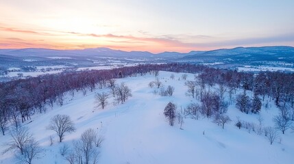 Fototapeta premium A serene winter landscape with snow-covered trees and a sunset backdrop.
