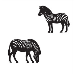 Zebra Couple