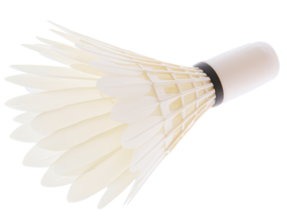 a white shuttlecock with black band