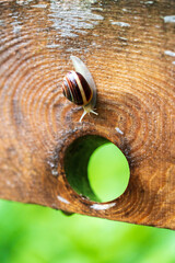 Lauterbrunnen, Village in Switzerland, in the Swiss Alps, Beautiful Valley with rocky cliffs and Waterfalls, Known as the Land of 72 Waterfalls