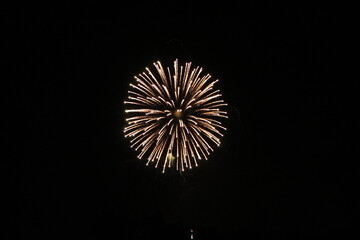 Fototapeta premium Firework