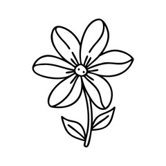 illustration of a flower