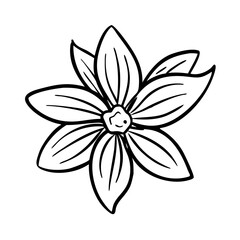 illustration of a flower
