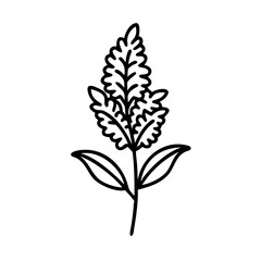 astilbe flower vector icon, vector flower illustration, flower icon - simple vector illustration of a astilbe flower, ideal for floral designs, botanical art, and nature-themed projects..