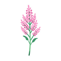 Naklejka premium astilbe flower vector icon, vector flower illustration, flower icon - simple vector illustration of a astilbe flower, ideal for floral designs, botanical art, and nature-themed projects..