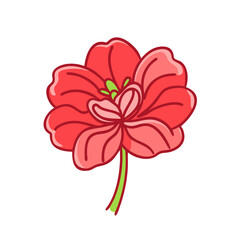 Obraz premium begonia flower vector icon, vector flower illustration, flower icon - simple vector illustration of a begonia flower, ideal for floral designs, botanical art, and nature-themed projects..