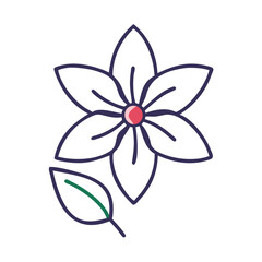 clematis  flower vector icon, vector flower illustration, flower icon - simple vector illustration of a clematis  flower, ideal for floral designs, botanical art, and nature-themed projects..