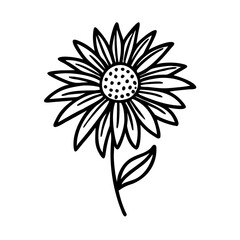 illustration of a flower