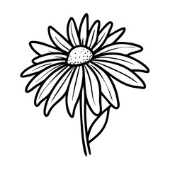 illustration of a flower