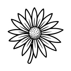 illustration of a flower