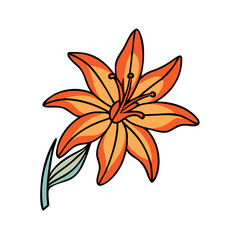crocosmia flower vector icon, vector flower illustration, flower icon - simple vector illustration of a crocosmia flower, ideal for floral designs, botanical art, and nature-themed projects..