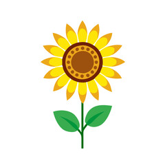daisy  flower vector icon, vector flower illustration, flower icon - simple vector illustration of a daisy  flower, ideal for floral designs, botanical art, and nature-themed projects..
