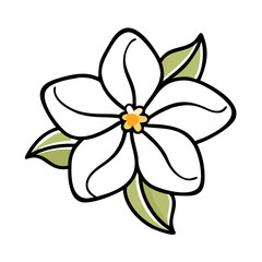 jasmine flower vector icon, vector flower illustration, flower icon - simple vector illustration of a jasmine flower, ideal for floral designs, botanical art, and nature-themed projects..