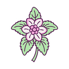 illustration of a flower
