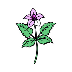 illustration of a flower