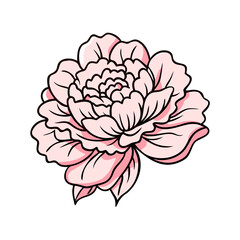 peony  flower vector icon, vector flower illustration, flower icon - simple vector illustration of a peony  flower, ideal for floral designs, botanical art, and nature-themed projects..