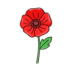 Fototapeta premium poppy flower vector icon, vector flower illustration, flower icon - simple vector illustration of a poppy flower, ideal for floral designs, botanical art, and nature-themed projects..