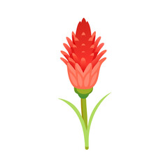 red hot poker flower vector icon, vector flower illustration, flower icon - simple vector illustration of a red hot poker flower, ideal for floral designs, botanical art, and nature-themed projects..