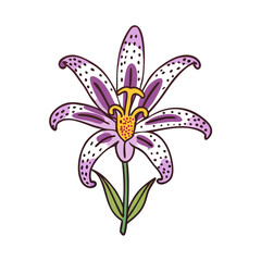 Naklejka premium toad lily flower vector icon, vector flower illustration, flower icon - simple vector illustration of a toad lily flower, ideal for floral designs, botanical art, and nature-themed projects..