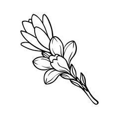tuberose flower vector icon, vector flower illustration, flower icon - simple vector illustration of a tuberose flower, ideal for floral designs, botanical art, and nature-themed projects..