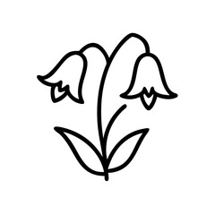 allium flower illustration, allium flower, flat illustration