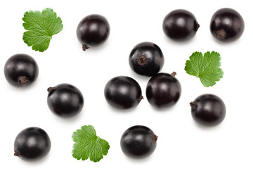 black currant with green leaf isolated on white background. clipping path