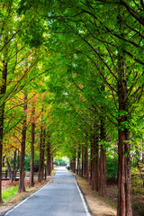 오산 물향기수목원