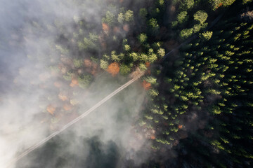 Vue aérienne de dessus d'un chemin dans la prairie en automne avec la brume