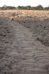 an elephant walkway in the sand