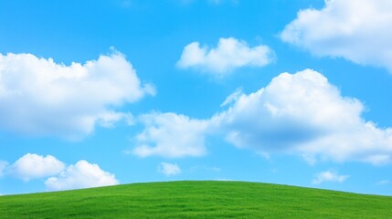 A grassy hill stretches out beneath a bright blue sky with fluffy white clouds.