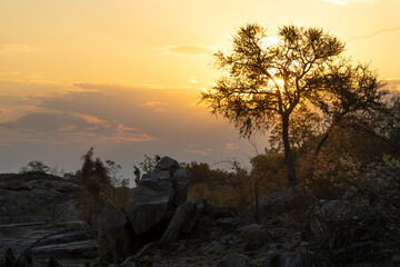 a scenic sunset in Botswana.
